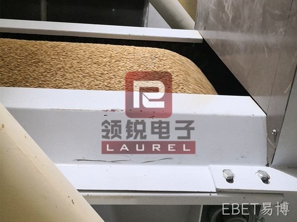 皮带秤-粮食行业现场